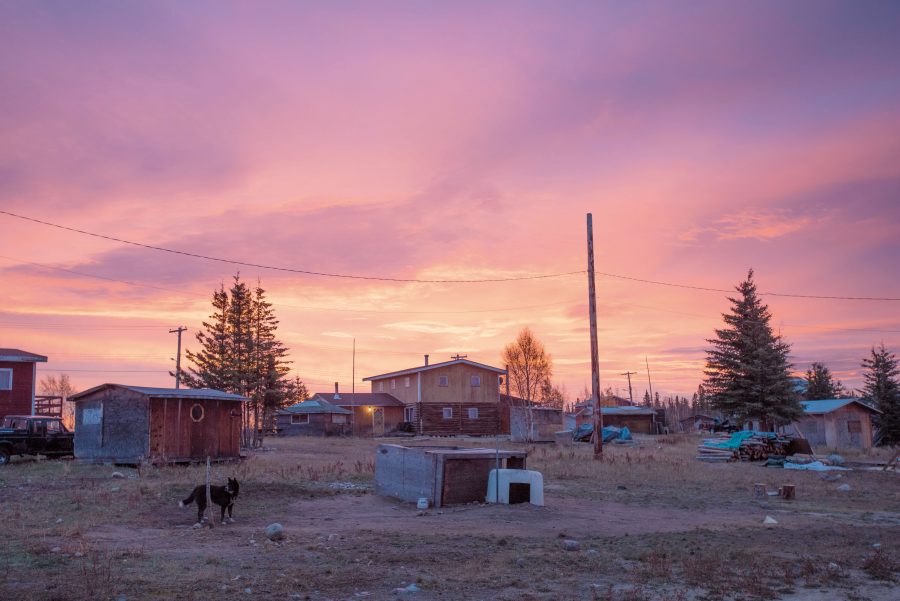 Purple sky over a small community of houses and shacks with a dog in the foreground.