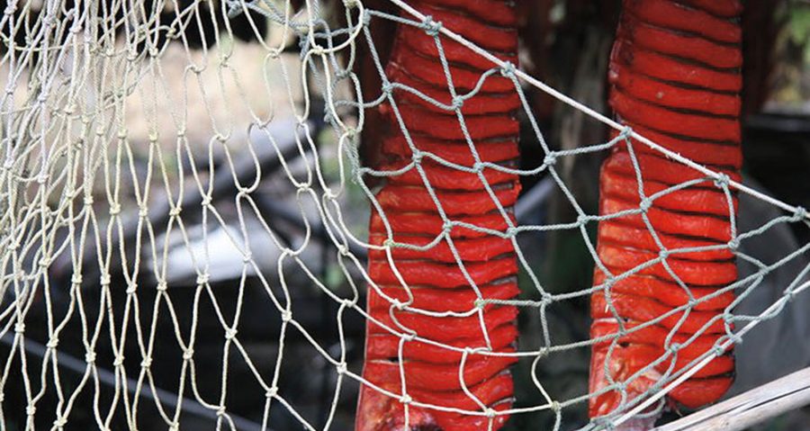 Fishing net in foreground with deep-red hanging dried salmon in background