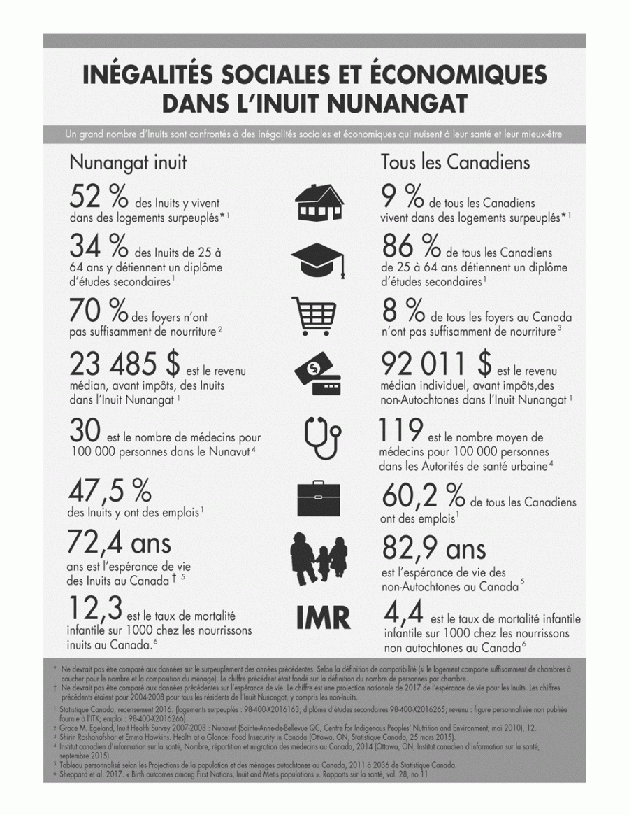 Infographic showing social and economic inequalities for Inuit