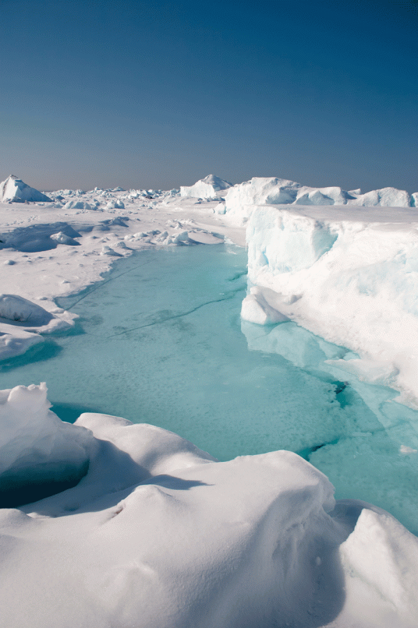 Melting multi-year ice in M’Clure Strait, N.W.T.