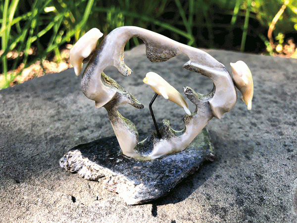 A sculpture made of bone that shows 3 dolphins jumping through a circle shape